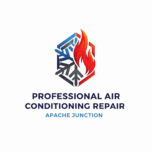 professional repair servi